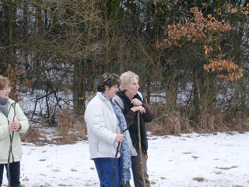 20100220 073.jpg